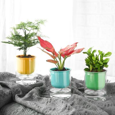 China Modern New Design Bonsai Flower Pot Desktop Decoration Plant Cute Self-watering Plastic Colorful Flower Pot for sale