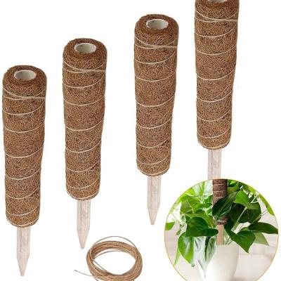 China Durable Coconut Fiber Stick Green Radish Stick Epipremnum Aureum Indoor Potted Column Shape Leaf Green Supply Large Stile B for sale