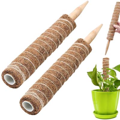 China Pastoral Potted Plant Climbing Rod For Scindapsus Plants Coconut Tree Stick Flower Holder Growing Coconut Stick for sale