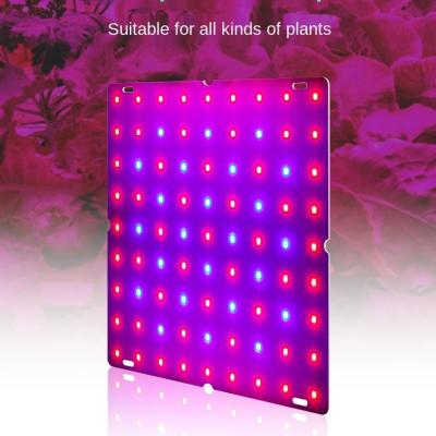 China Seed Seed Planting LED Succulent Growth Lamp Full Spectrum 25W Indoor Lighting Full Spectrum Plant Grow Light Seedling To Fill Border Light for sale