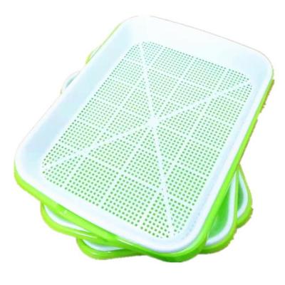 China Odorless And Durable To Use Wholesale High Quality Home Make Plastic Green Bean Sprout Seed Trays For Sales for sale