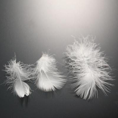 China BEST QULITY wholesale natural softer white KEEP DUVIT breathable and dry WARM Duck Feather Duck Down Feather for sale