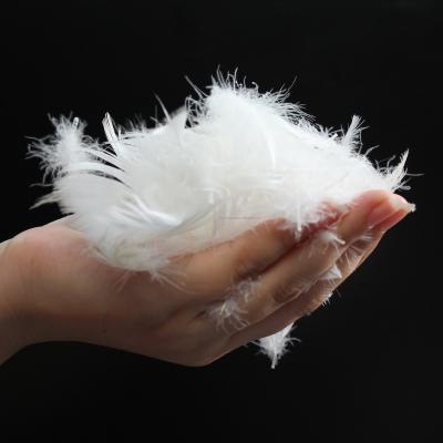 China Wholesale BEST QULITY 2-4cm High Quality Duck Feather Washed Soft White Duvet and Pillow Fillings for sale