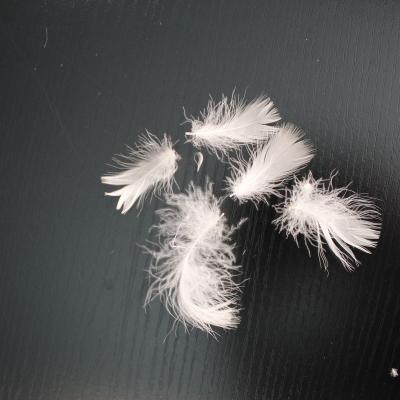 China BEST QULITY DIGNITY BRAND 4-6cm high quality lightweight goose loose materials washed white goose feather white feather for sale