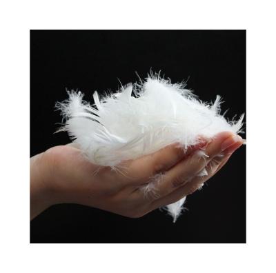 China BEST QULITY Wholesale Natural Softer White KEEP HOT Breathable Dry Natural Goose Feather DUVIT Feather for sale