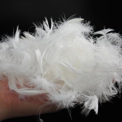 China BEST QULITY goose feather white KEEP breathable softer natural high quality wholesale and dry WARM for sale