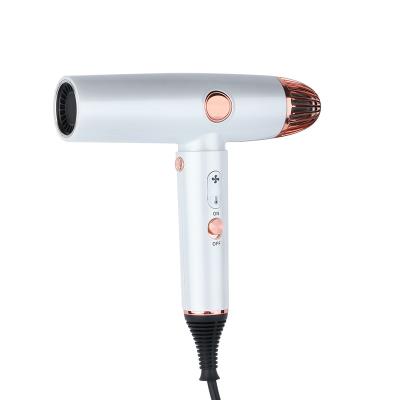 China 1600W Ionic High Speed ​​Ionic Blow Dryer Lightweight BLDC Dryer Good Quality Low Noise With 30 Million Ionic Fast Dryer Hair for sale