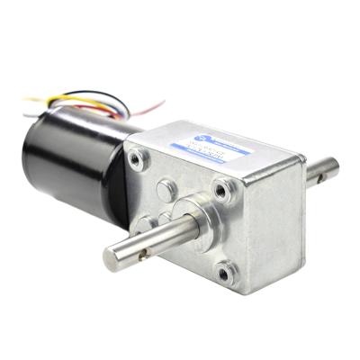 China 24v 12v Totally Enclosed Double Shaft Small Electric Permanent Electric Brushless DC Motor for sale