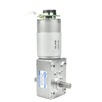 China A58-555 70kg.cm DC Worm Gear Motor 12v 24v Totally Enclosed DC Motor for sale