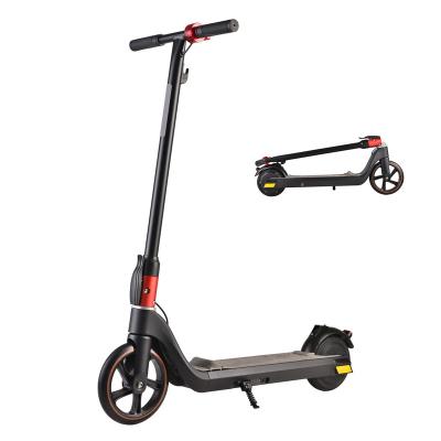 China Unisex xm  RTMINI scooter 250 watt folding kick scooter light electric scooter 6.5inch for sale