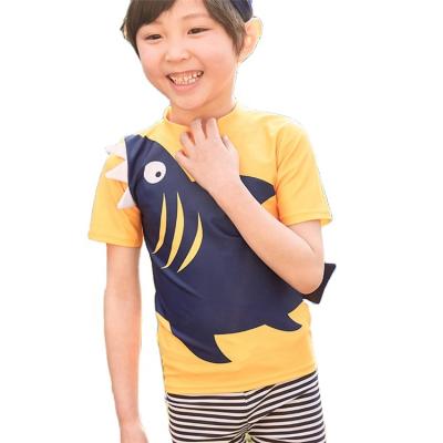 China Breathable Kids Clothes Boys Beach Boys Swimwear 2 Piece Kids Swimwear for sale