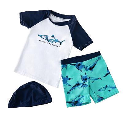 China Breathable Kids Beach Leisure Sportswear, Sun Hat, Boys and Kids, Split Swimsuit, Swimming Trunks, Quick-Drying, Style: Sharp Shark for sale