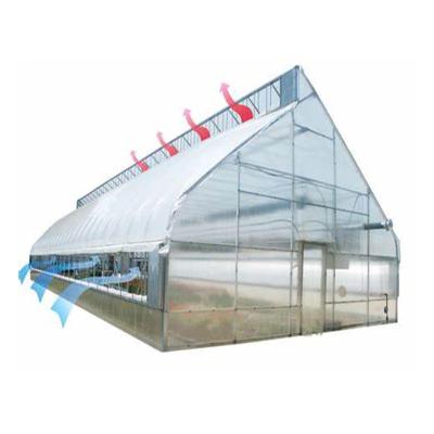 China Easy To Order Economic Green House Commercial Greenhouses For Sale for sale