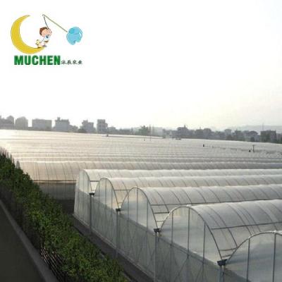 China Vegetable fruits flowers single-span greenhouses to multi-span greenhouses and other greenhouses grade elliptical tube skeleton for sale