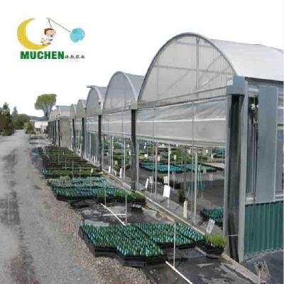 China PC sheet multi-span greenhouses and other greenhouses for sale