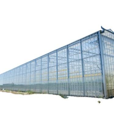 China Economic Commercial Greenhouse Water System Greenhouse Net for sale