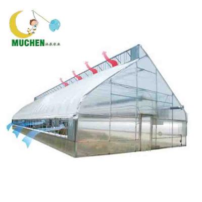 China Easy To Order Economic Green House Commercial Greenhouses For Sale for sale