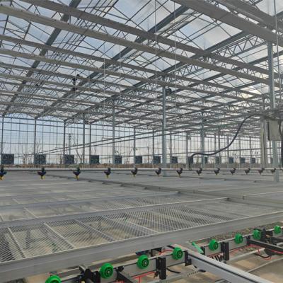 China Stable Structure Venlo Garden Greenhouses For Sale for sale