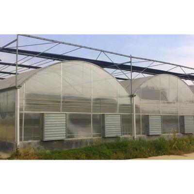 China Stable Structure Easily Assembled Factory Price Simple Structure Agricultural Film Garden Greenhouses for sale