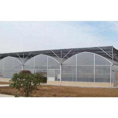 China Stable structure easily assembled factory price simple structure agricultural film greenhouse for sale for sale