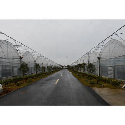 China Stable Structure Easily Assembled Muchen Brand Stable Structure Agricultural Film Multi Span Mini Greenhouse for sale