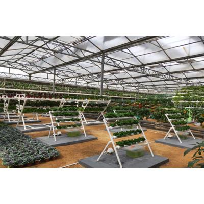 China MUCHEN Intelligent / Efficient Intelligence System Agricultural Hydroponic Garden Greenhouses for sale