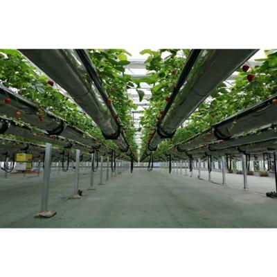 China MUCHEN Smart / Efficient Agricultural Single-span Intelligence Hydroponic Greenhouses On Sale for sale