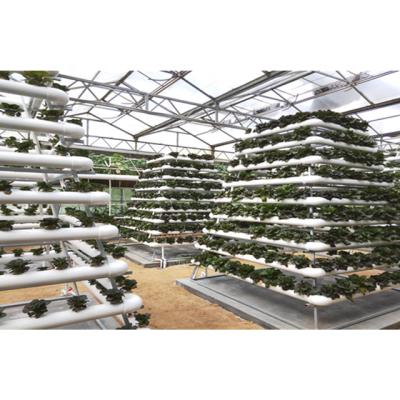 China Intelligent / Efficient MUCHEN Multi-Span Intelligence Agricultural Hydroponic Greenhouses for sale