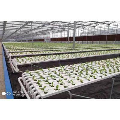 China Intelligent/efficient modern agricultural intelligence system hydroponic greenhouses for sale for sale