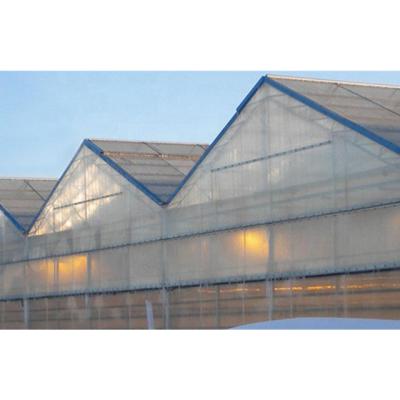 China Stable Structure Easily Assembled Good Effect Strong Structure Professional Design Agricultural PC Sheet Glass Greenhouses for sale