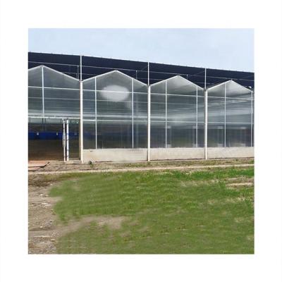 China Stable Structure Easily Assembled Good Price Strong Professional Structure Design Agricultural UV Plastic For Greenhouses for sale