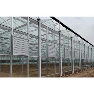 China Stable Structure Easily Assembled Muchen Design Stable Structure Agricultural Glass Greenhouses For Sale for sale