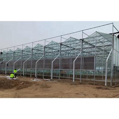 China Stable Structure Easily Assembled Muchen Design Stable Structure Agricultural Glass Greenhouses With Hydroponic Shelves for sale