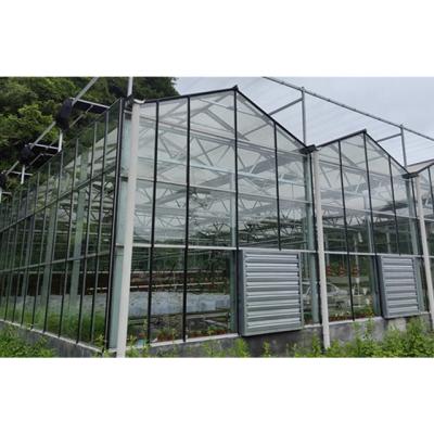 China Stable Structure Easily Assembled Muchen Design Stable Structure Agricultural Greenhouses Glass Tunnel for sale