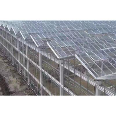 China Stable Structure Easily Assembled Mini Muchen Design Stable Structure Agricultural Glass Greenhouses On Sale for sale