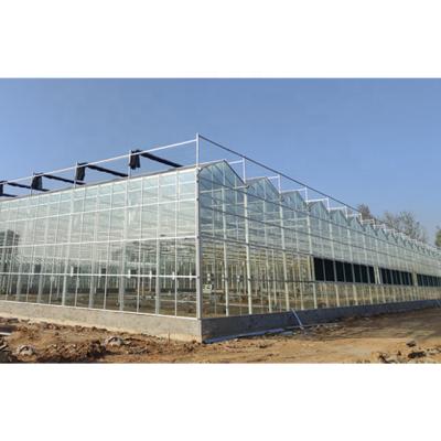 China Stable Structure Easily Assembled Muchen Design Stable Structure Agricultural Solar Glass Greenhouses for sale