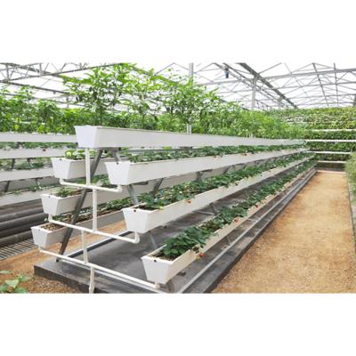 China Stable Structure Easily Assembled Muchen Design Stable Structure Commercial Agricultural Multi Span Glass Greenhouses On Sale for sale