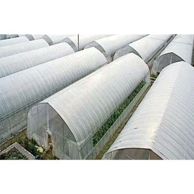 China Stable structure easily assembled simple structure mini commercial agricultural garden greenhouses on sale for sale