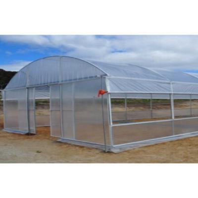 China Stable structure easily assembled single-span simple structure small commercial agricultural greenhouses for sale for sale