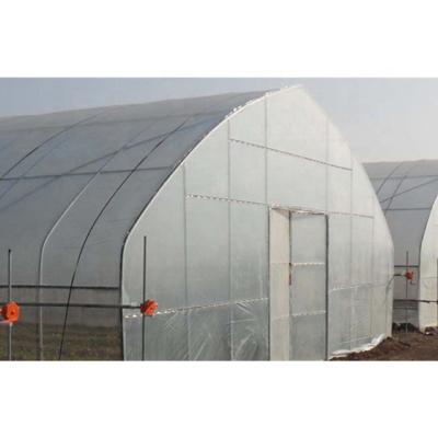 China Stable Structure Easily Assembled Simple Structure Commercial Agricultural Tunnel Greenhouses For Sale for sale