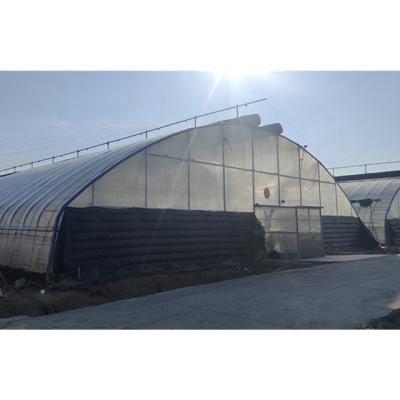 China Stable Structure Easily Assembled Simple Structure Commercial Agricultural Tunnels Greenhouses For Sale for sale