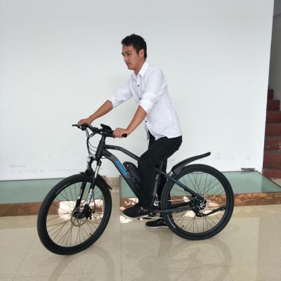 China Aluminum alloy 2019 china mountain electric bicycle 28 inch with EN15194 for sale