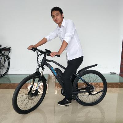 China Aluminum alloy 29 inch electric bicycle mountain bike with high quality spare parts for sale