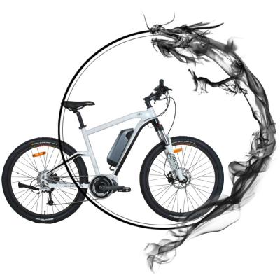 China Aluminum alloy china ebike factory wholesale electric bike with high quality for sale