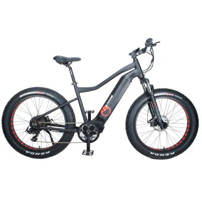 China 26inch Fat Tire Mountain Bike Electric Bicycle 40km/h Power Assist Aluminum E-Bike 750W for sale