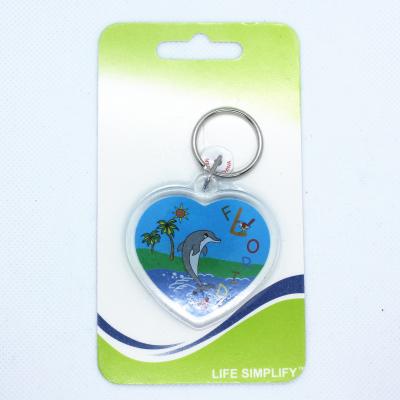 China Promotion Gift Insert Custom Clear Acrylic Custom Photo Picture Blank View Small Snap-in Holder-Various Key Chain Key Shape for sale