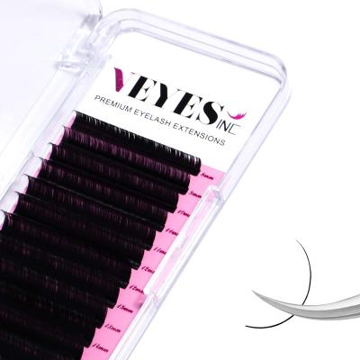 China Private Label Long Natural Aluminum Back Classic Lash Extensions Professional Individual OEM Whips Velvet Super Black Fluffy Lashes for sale