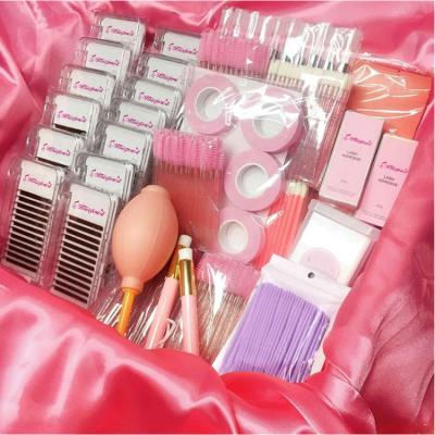 China Hot Sale Starter Kit Lash Start Kit Tool Professional Kit With Makeup Case Private Label Group Eyelash Extension Kit for sale