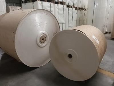 China Heavy Duty White/Brown Kraft Paper PE Coated Glossy/Matte Finish for sale