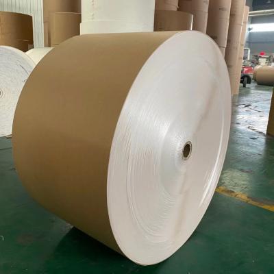 China Brown Eco PE Coated Kraft Paper Roll 300G for sale